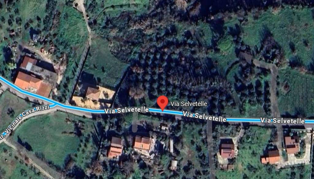 immagine annuncio 5 di 12