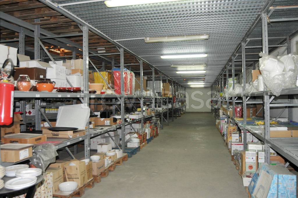 immagine annuncio 4 di 12