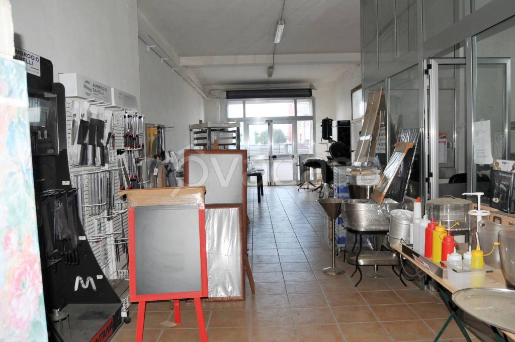 immagine annuncio 2 di 12