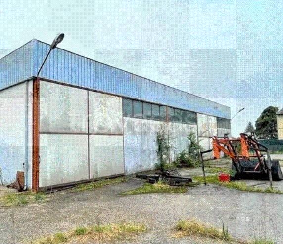 immagine annuncio 2 di 12