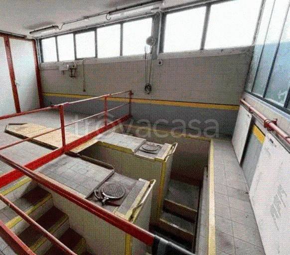 immagine annuncio 3 di 12