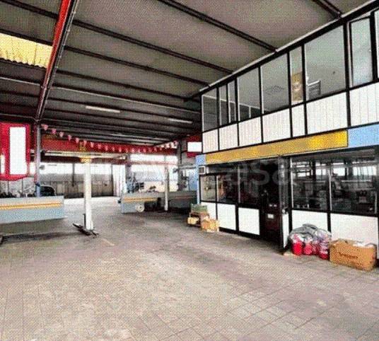 immagine annuncio 4 di 12