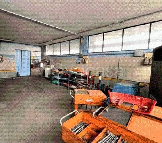 immagine annuncio 8 di 12