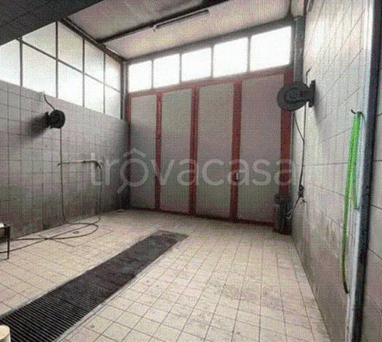 immagine annuncio 9 di 12