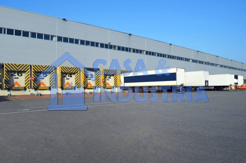 immagine annuncio 3 di 11