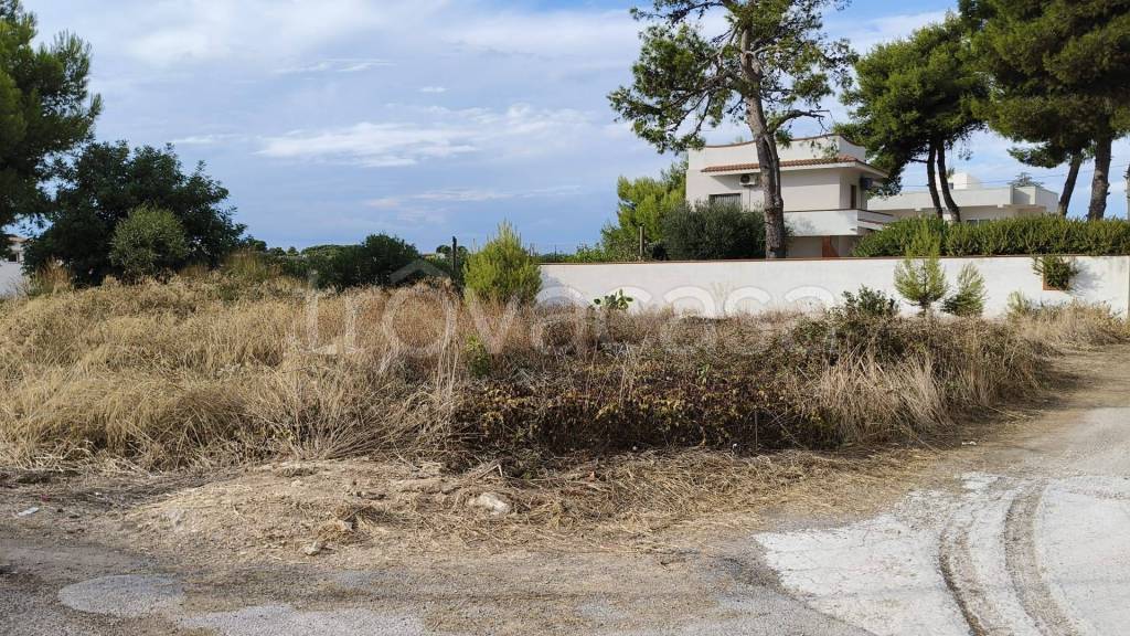 immagine annuncio 6 di 7