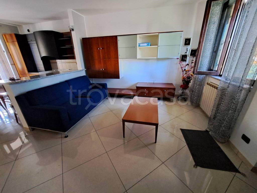 immagine annuncio 7 di 15