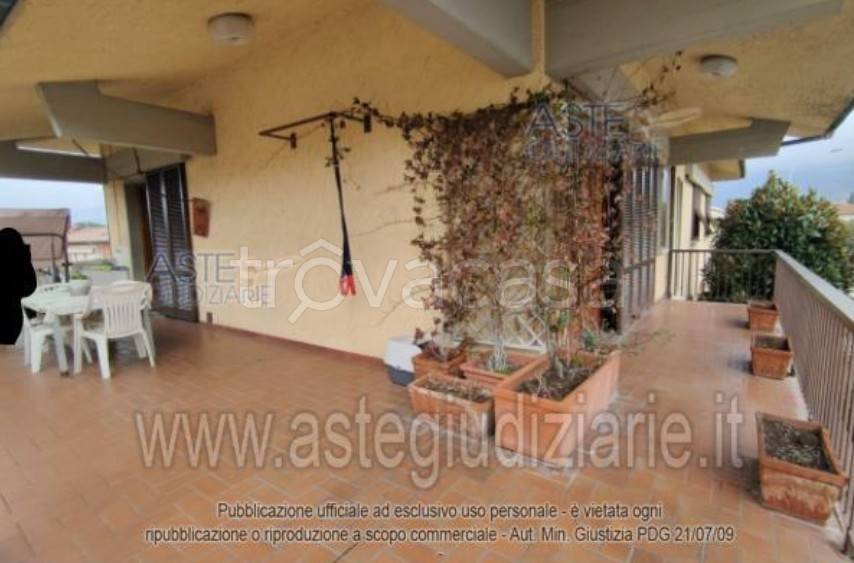 immagine annuncio 11 di 14