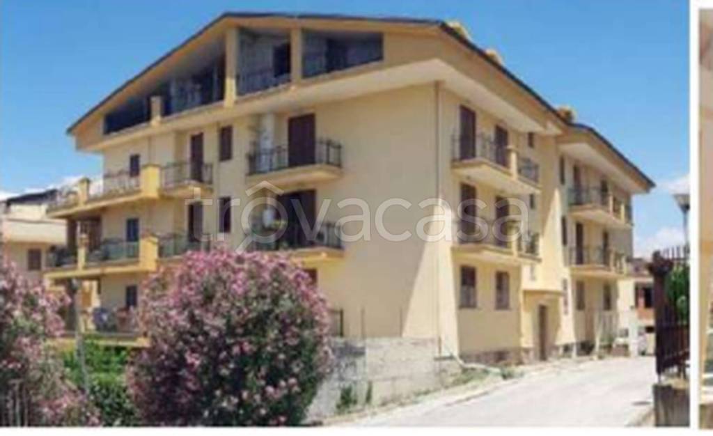 immagine annuncio 6 di 14