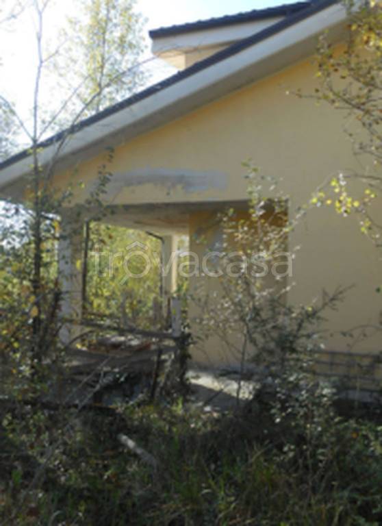 immagine annuncio 9 di 12