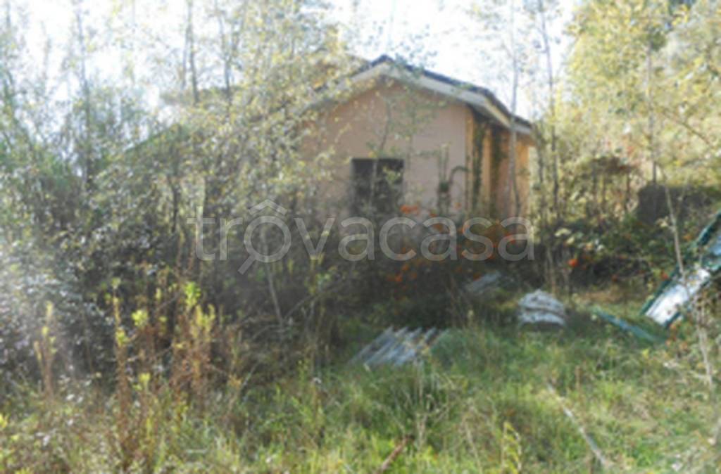 immagine annuncio 7 di 12