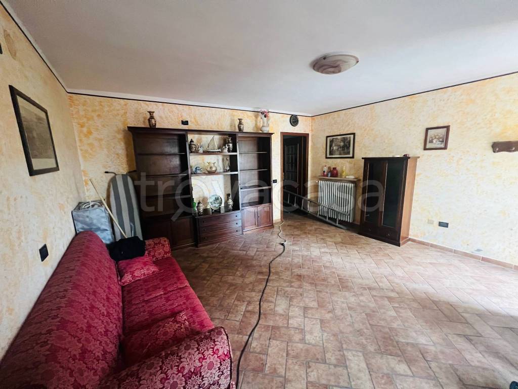 immagine annuncio 1 di 14