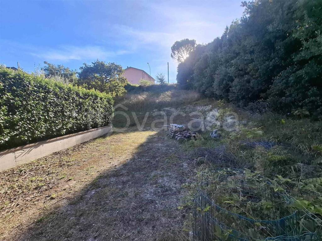 immagine annuncio 2 di 8