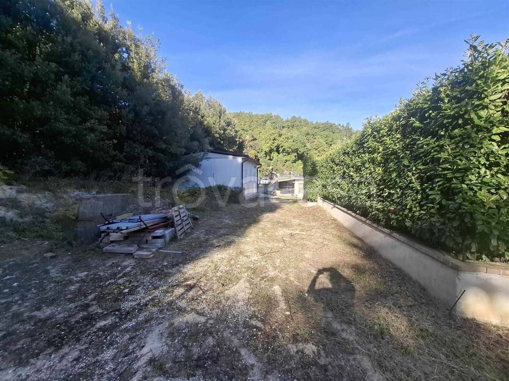 immagine annuncio 6 di 8