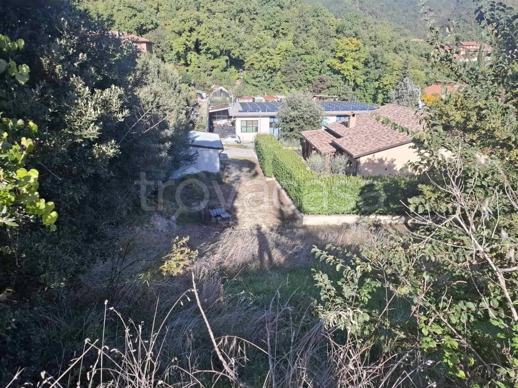 immagine annuncio 7 di 8