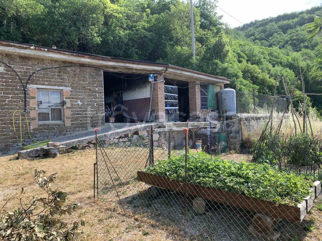 immagine annuncio 4 di 13