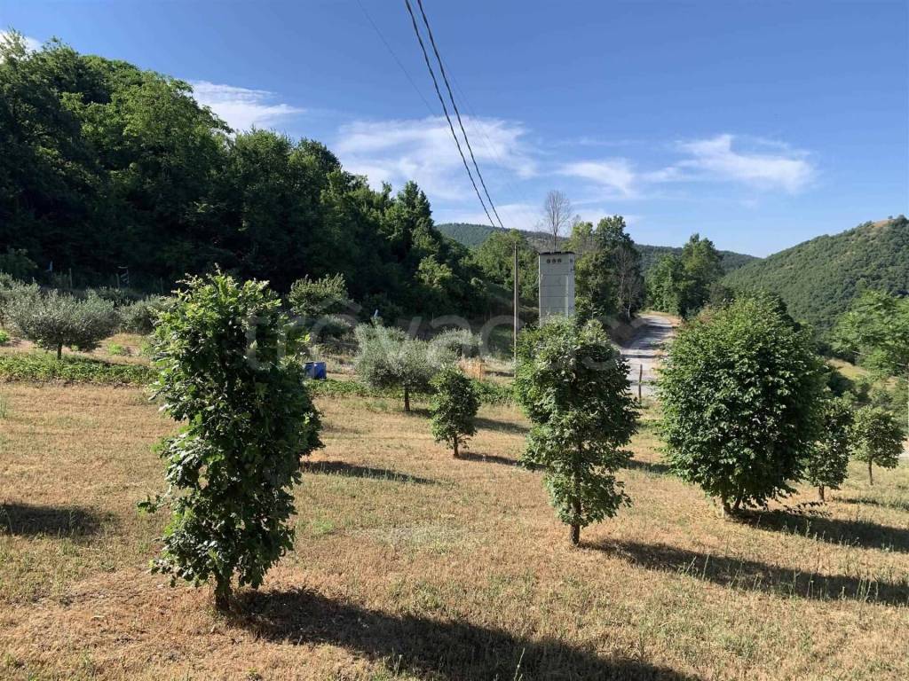 immagine annuncio 5 di 13