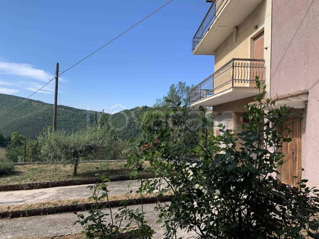 immagine annuncio 6 di 13