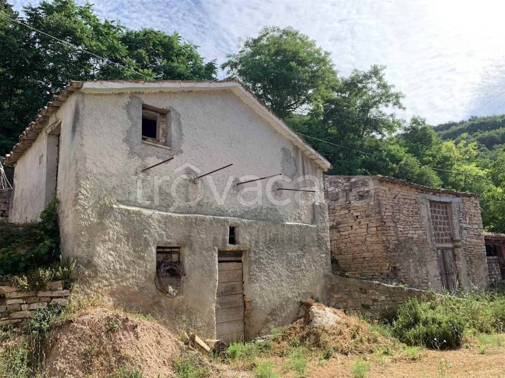 immagine annuncio 7 di 13