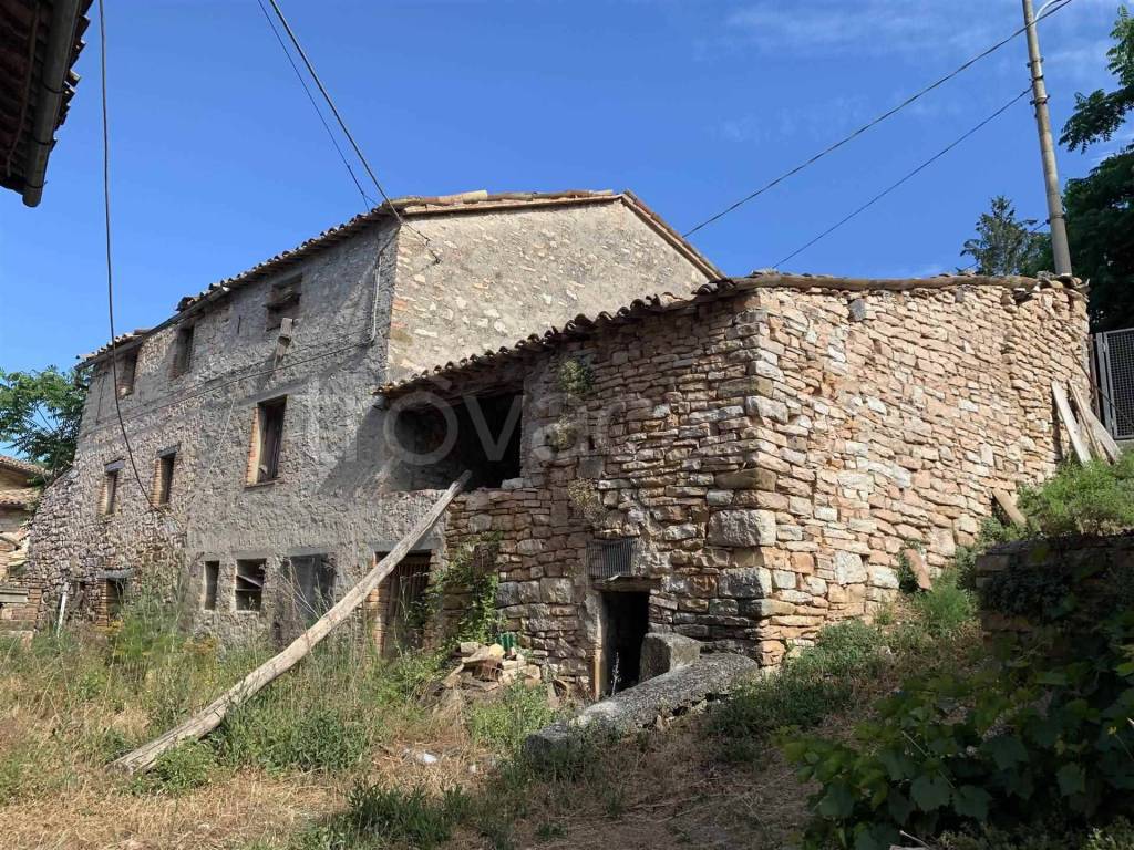 immagine annuncio 9 di 13