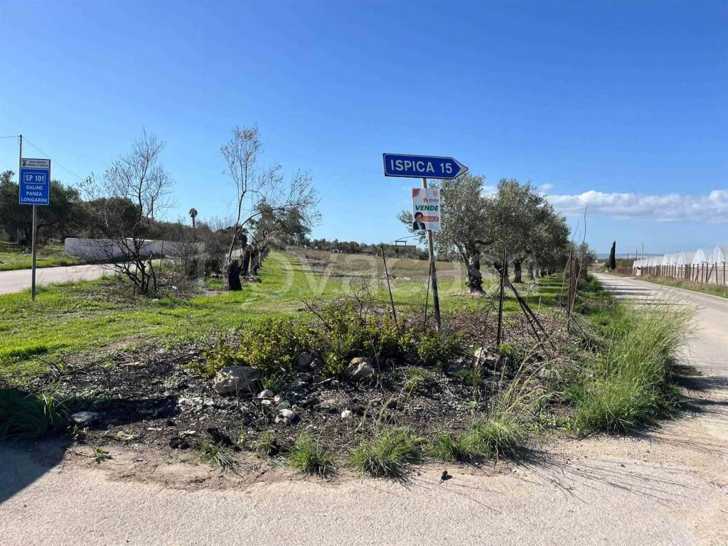 immagine annuncio 3 di 8