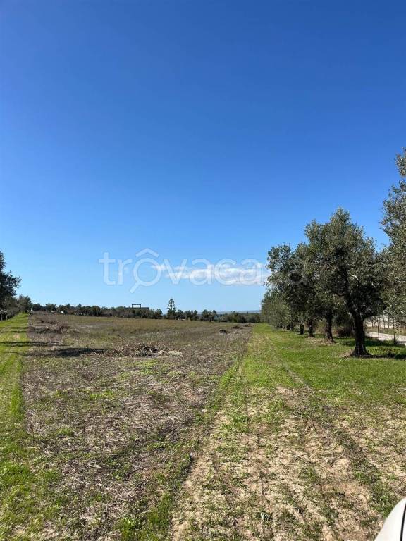 immagine annuncio 4 di 8