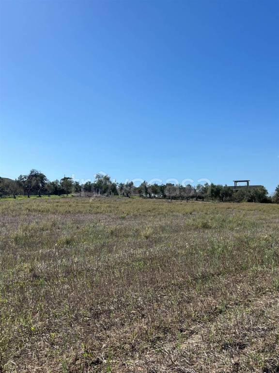 immagine annuncio 6 di 8