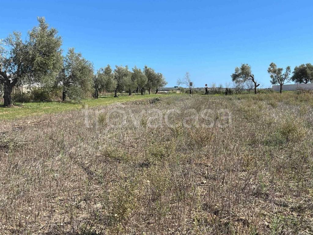 immagine annuncio 7 di 8