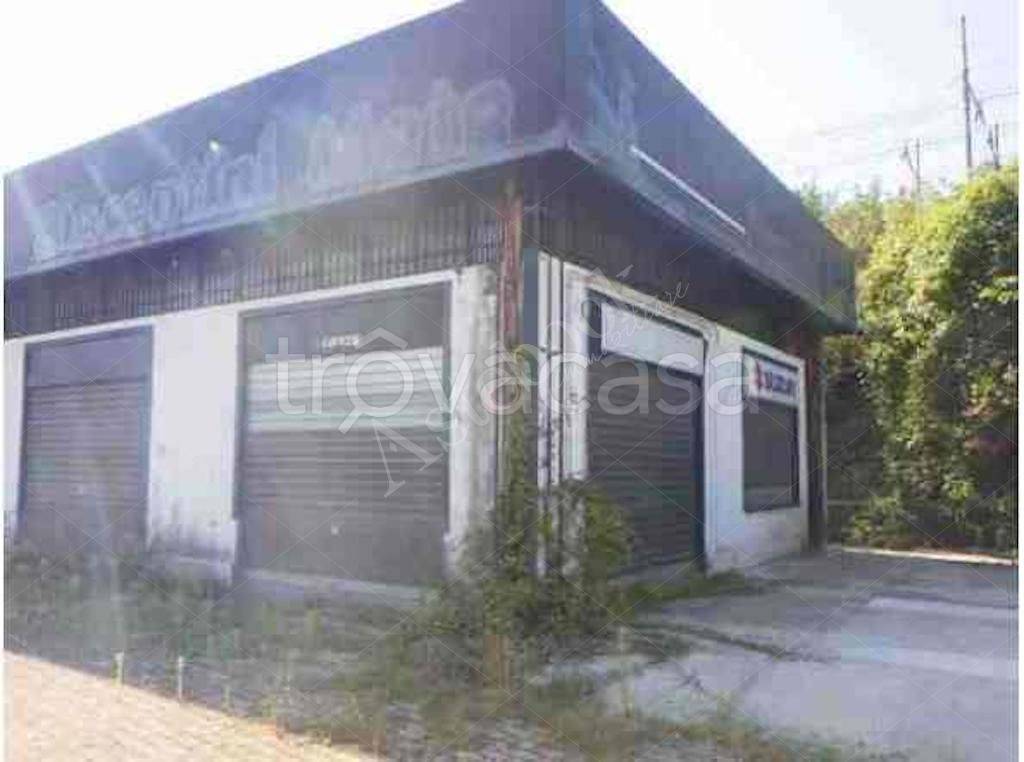 immagine annuncio 1 di 9