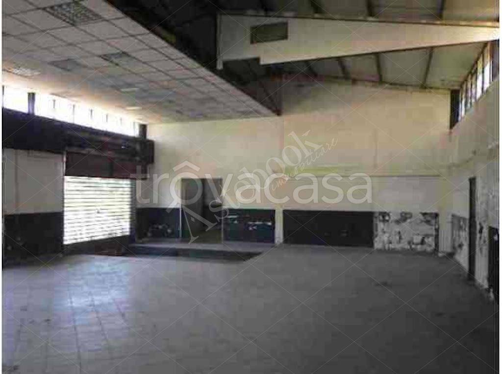 immagine annuncio 3 di 9