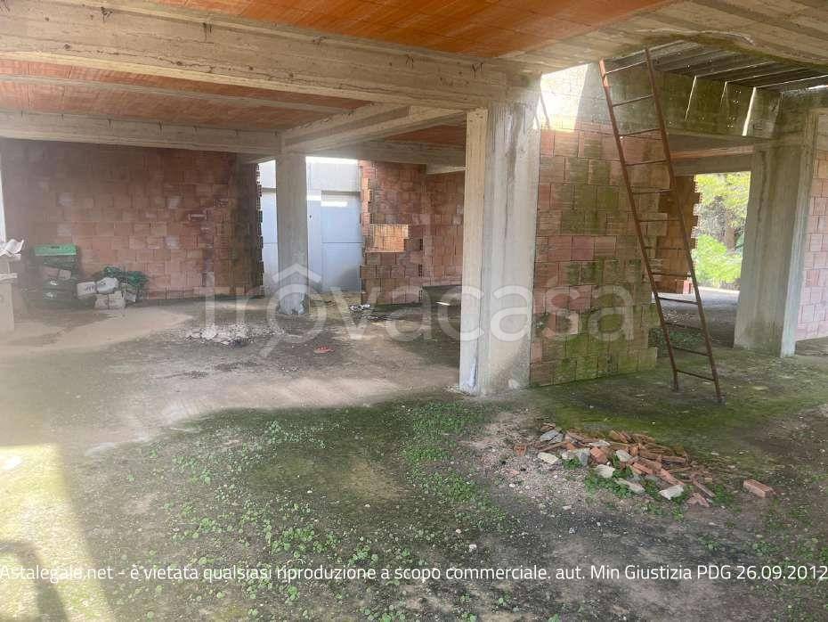 immagine annuncio 7 di 12