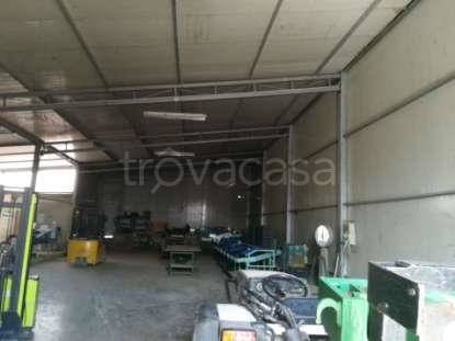 immagine annuncio 7 di 12