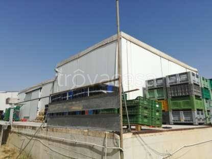 immagine annuncio 10 di 12