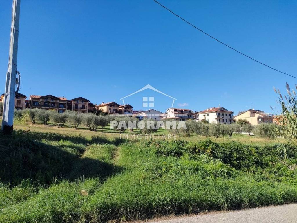 immagine annuncio 1 di 4