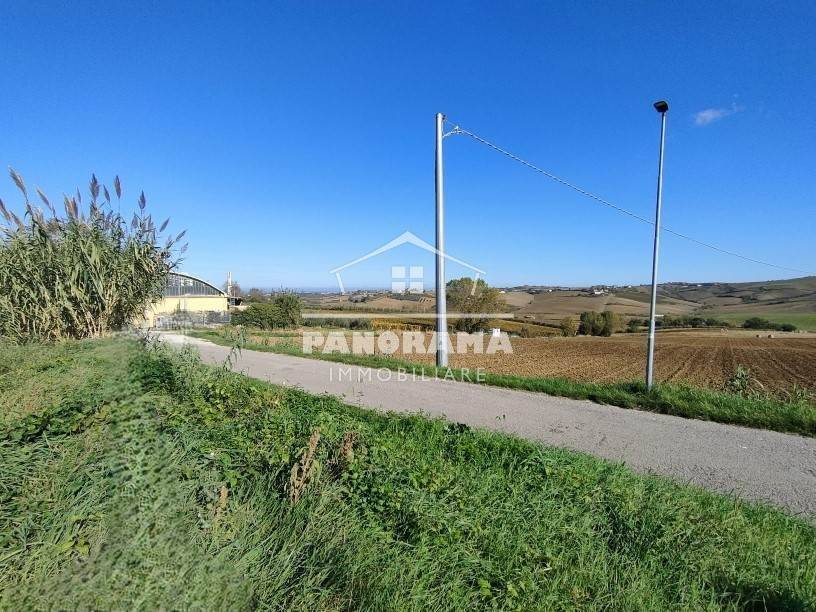 immagine annuncio 3 di 4