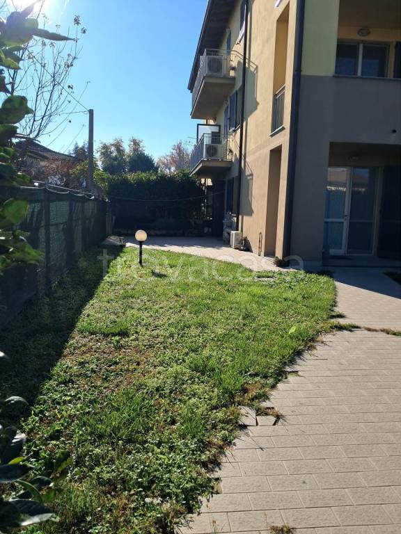 immagine annuncio 1 di 11