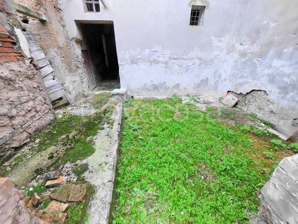 immagine annuncio 12 di 14