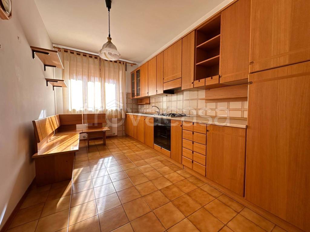 immagine annuncio 5 di 12