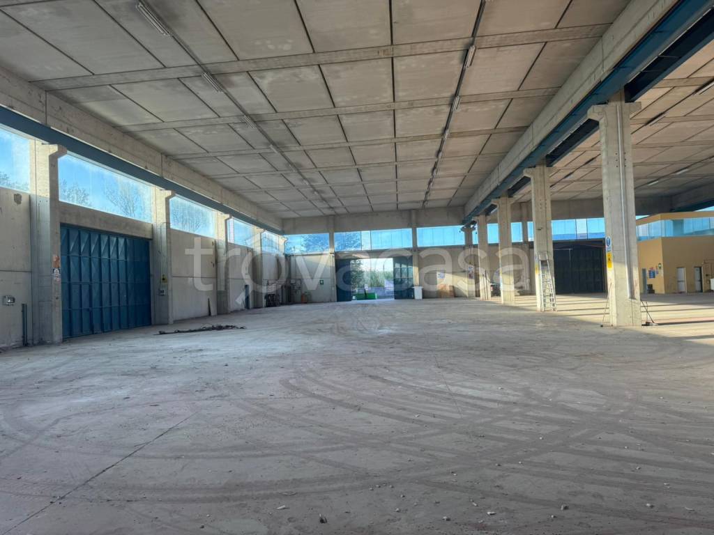 immagine annuncio 2 di 11