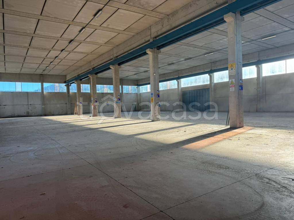 immagine annuncio 3 di 11