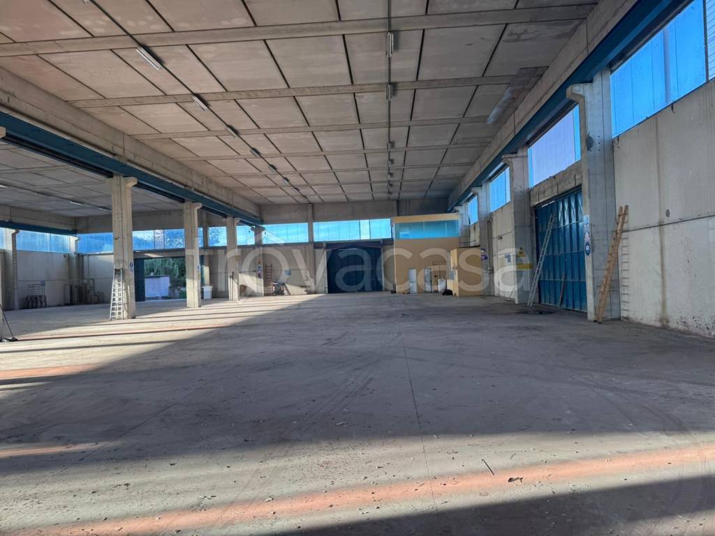 immagine annuncio 5 di 11