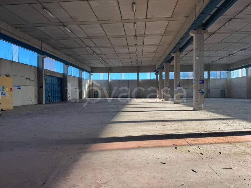 immagine annuncio 6 di 11