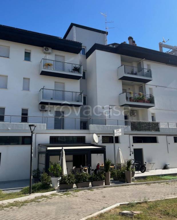 immagine annuncio 5 di 11