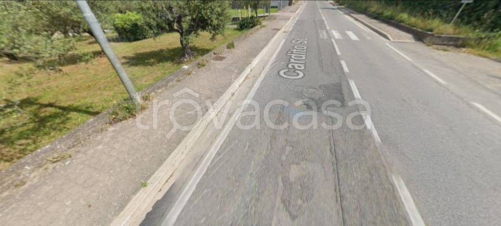 immagine annuncio 5 di 14