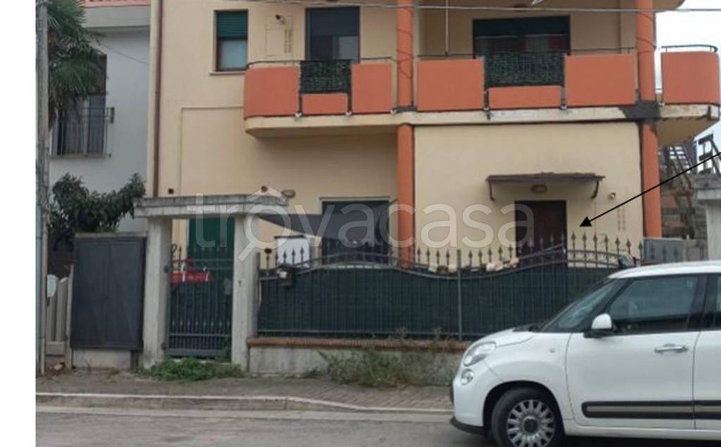 immagine annuncio 4 di 12