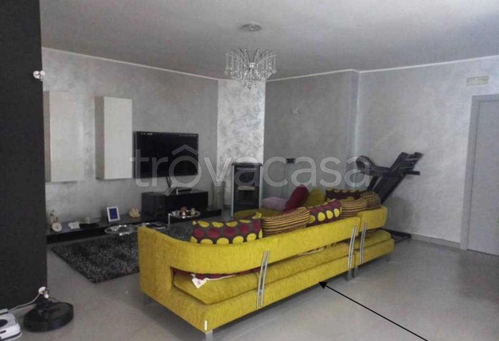 immagine annuncio 9 di 12