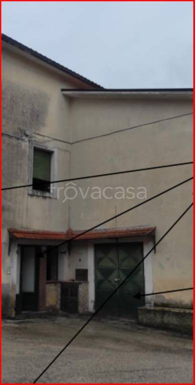 immagine annuncio 2 di 12