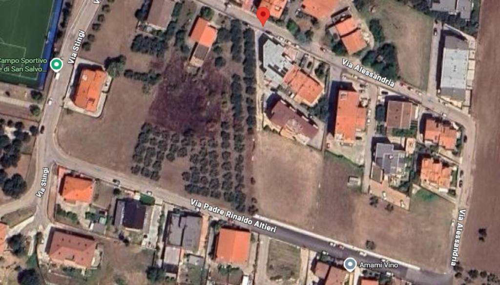 immagine annuncio 9 di 11