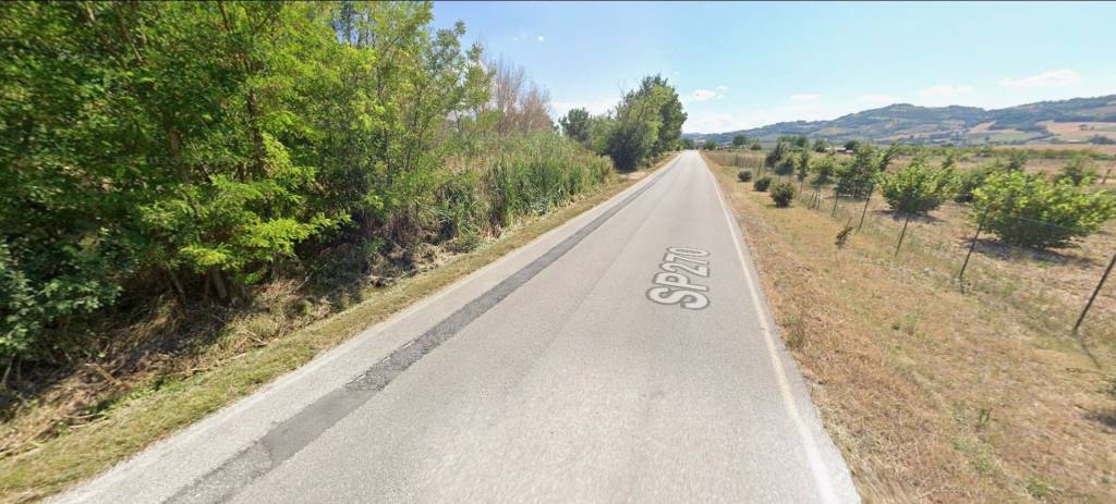 immagine annuncio 3 di 11