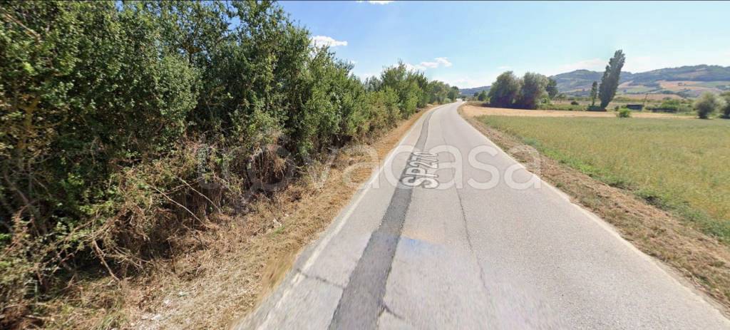 immagine annuncio 5 di 11